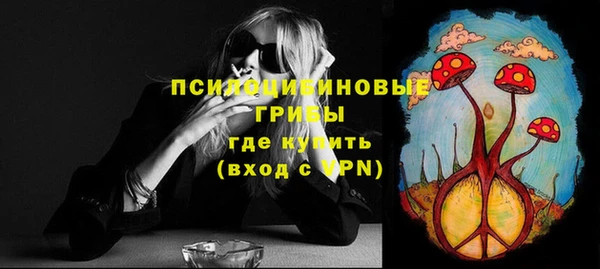 мяу мяу мука Надым