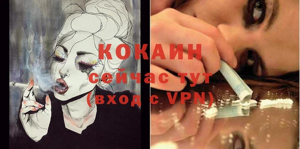 мяу мяу мука Надым