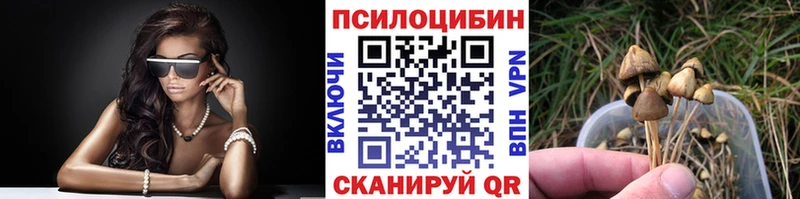 Купить закладки  Туймазы  Галлюциногенные грибы прущие грибы 